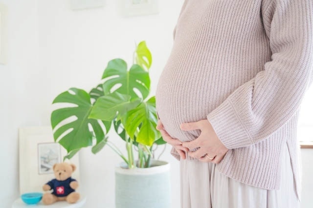 マタニティ